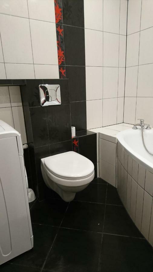 Apartament Boroweczka Polkowice Bagian luar foto